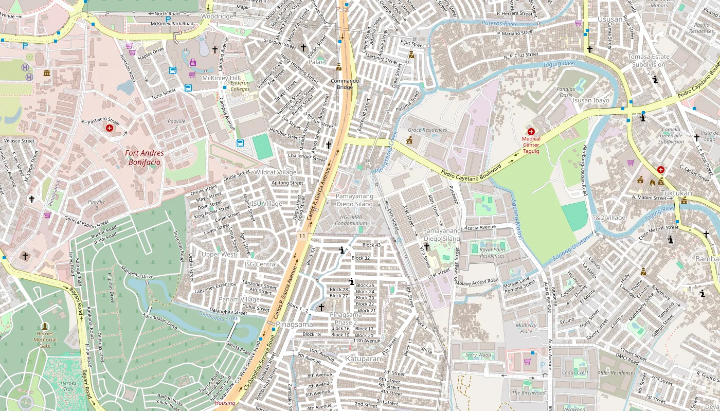 Regional map around Cypress Towers at C5 corner Diego Silang Street, Brgy. Ususan, Taguig City, with Medical Center Taguig, SM Savemore Acacia Estates and Taguig City Hall nearby, and Bonifacio Global City to the north